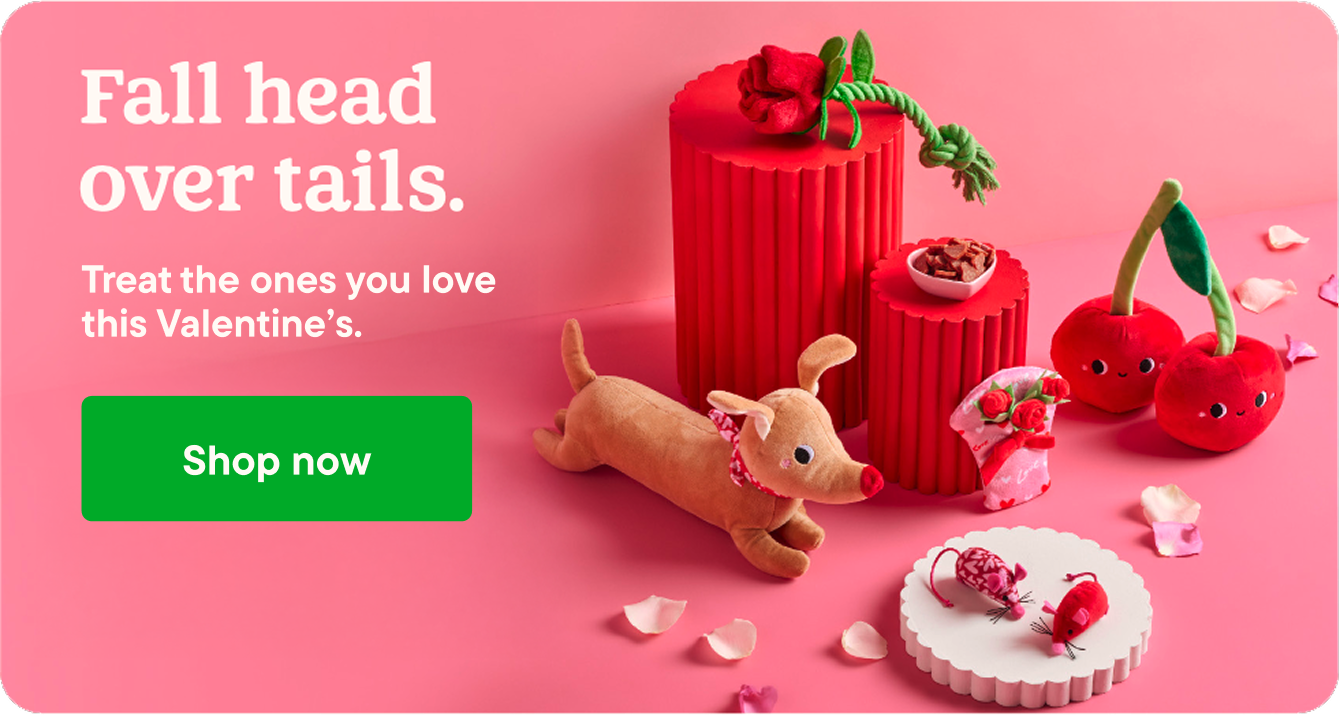 Fall head over tails